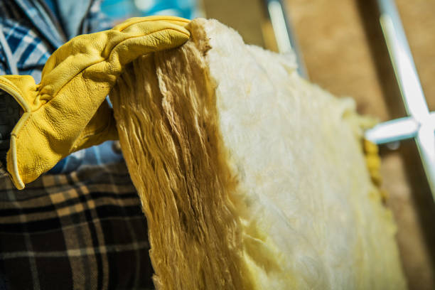 Best Local Insulation Services  in Corydon, IN